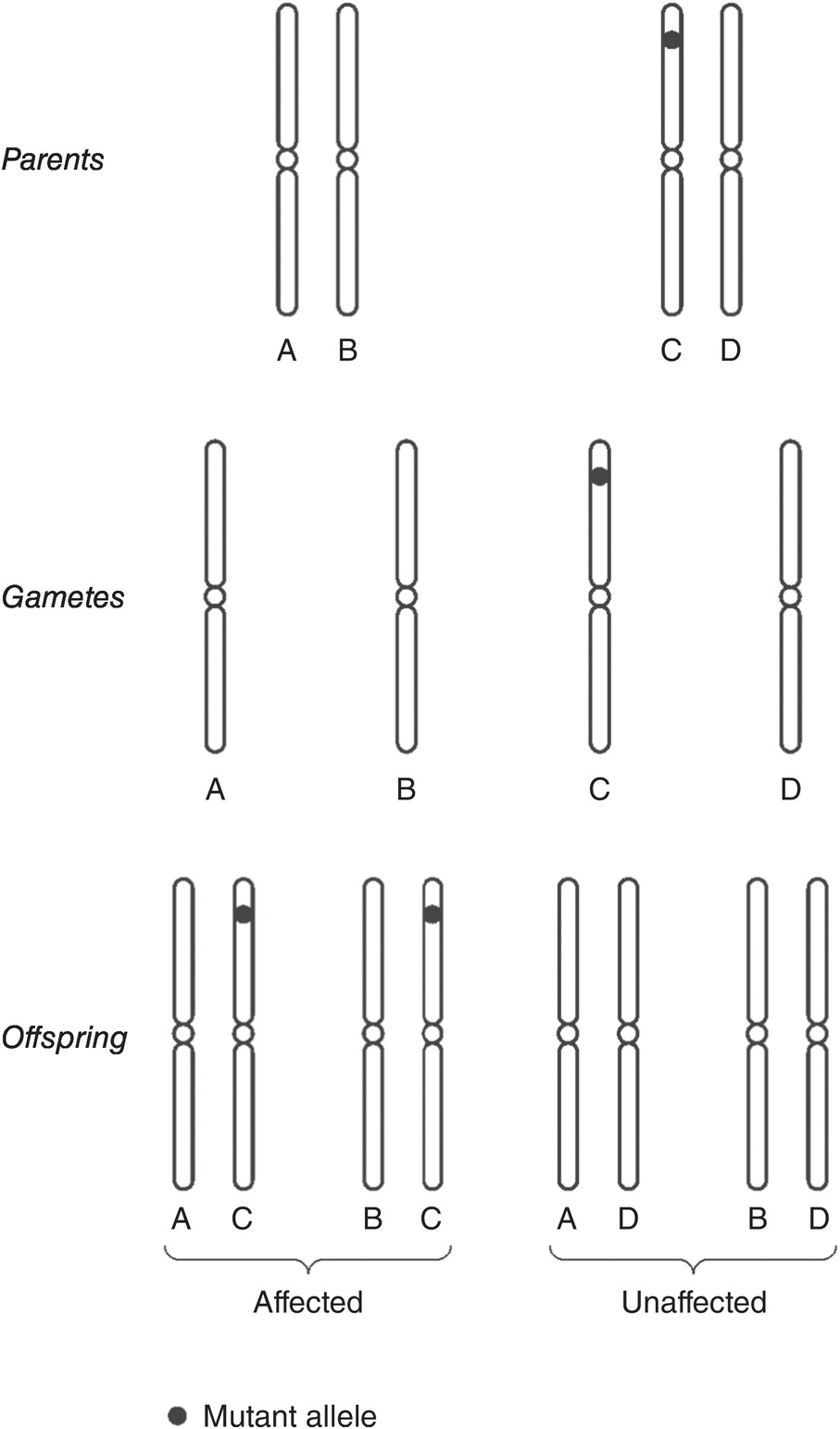 語学・辞書・学習参考書 Preimplantation Genetic Diagnosis Preimplantation Genetic Diagnosis: 9780521884716: Medicine