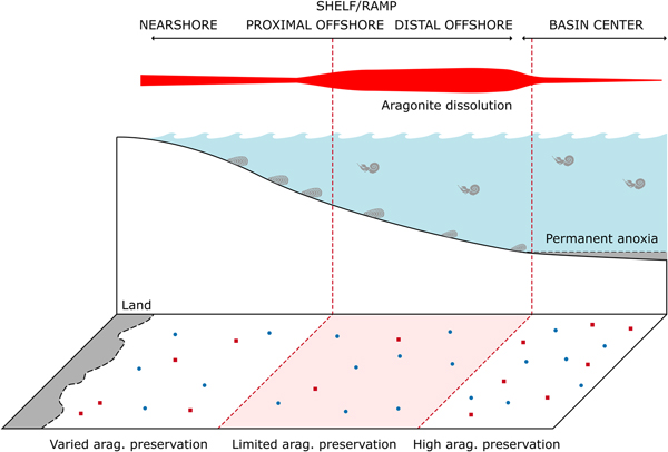 Aragonite Bias Exhibits Systematic Spatial Variation In The