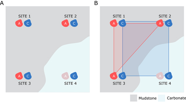 Aragonite Bias Exhibits Systematic Spatial Variation In The