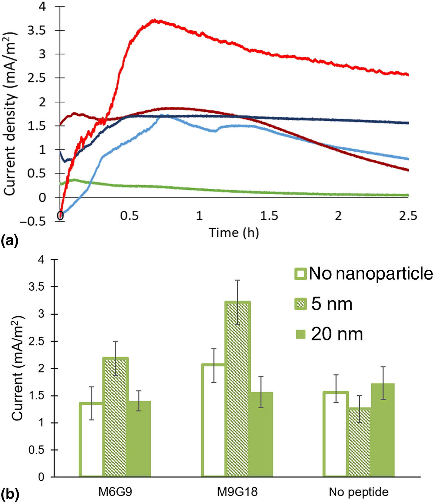 Peptide-mediated binding of gold nanoparticles to E. coli for enhanced ...