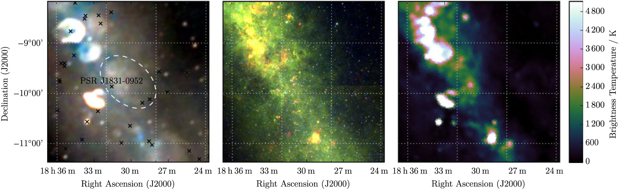 New Candidate Radio Supernova Remnants Detected In The GLEAM Survey ...