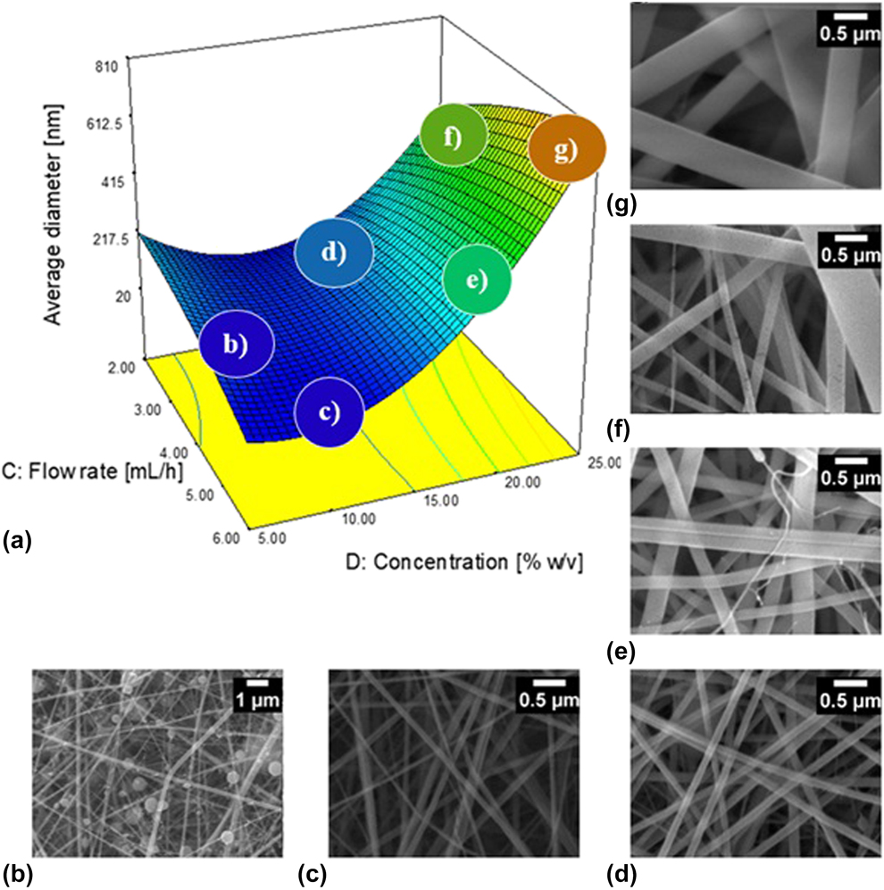 Collagen and elastin scaffold by electrospinning for skin tissue ...