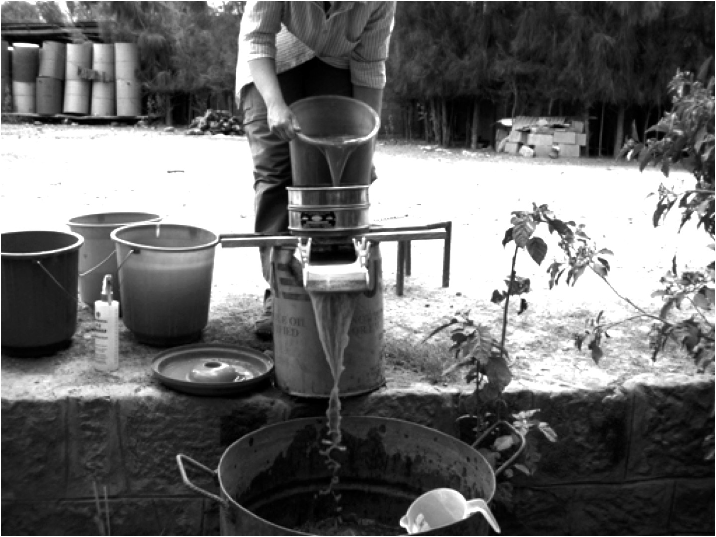 Case Studies in Paleoethnobotany: Understanding Ancient Lifeways through the Study of Phytoliths and Pollen Starch Macroremains