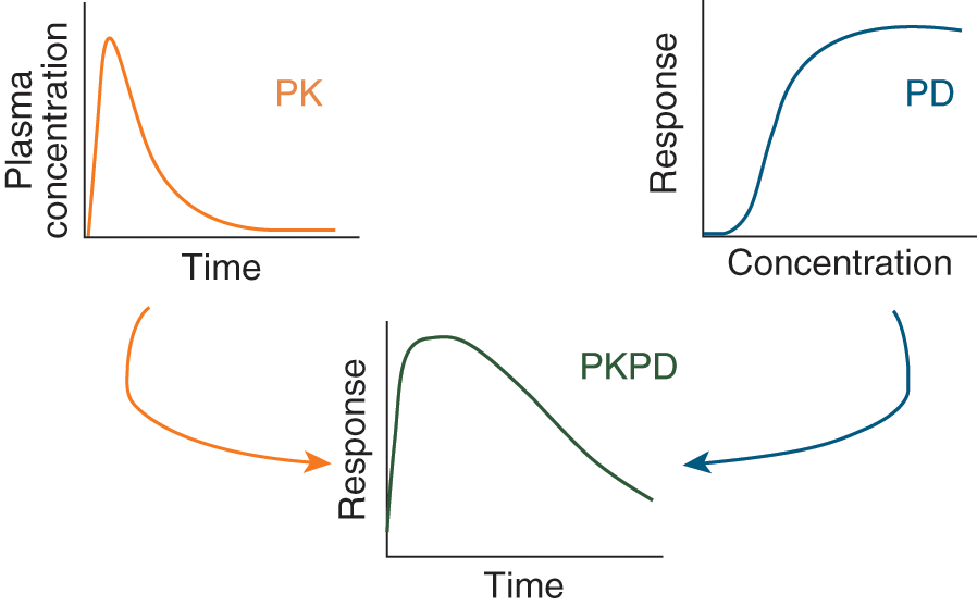 Pharmacokinetic And Pharmacodynamic Modelling In Anaesthesia Chapter 2 Personalized Anaesthesia