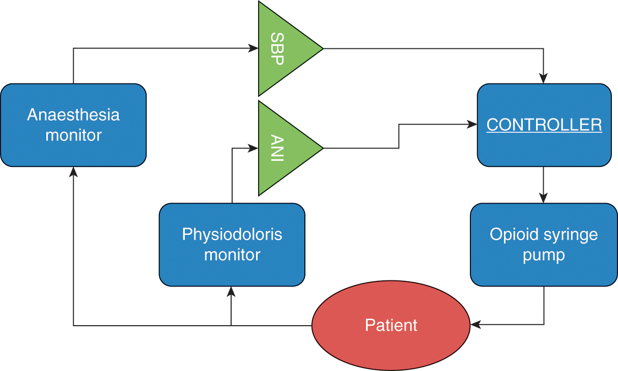 Targeting Effects Section 2 Personalized Anaesthesia