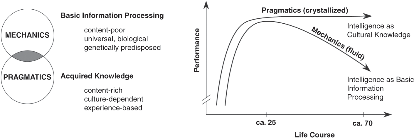 schaie cognitive development