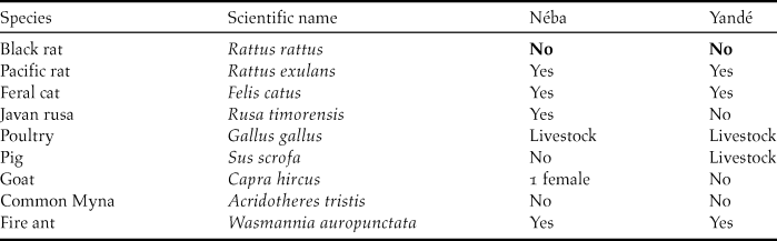 Notes On The Biology Of The Threatened Island Thrush Turdus Poliocephalus Xanthopus In New Caledonia Bird Conservation International Cambridge Core