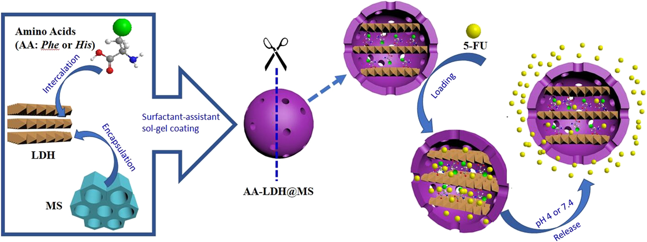 Applications of Layered Double Hydroxides – Nova Science Publishers