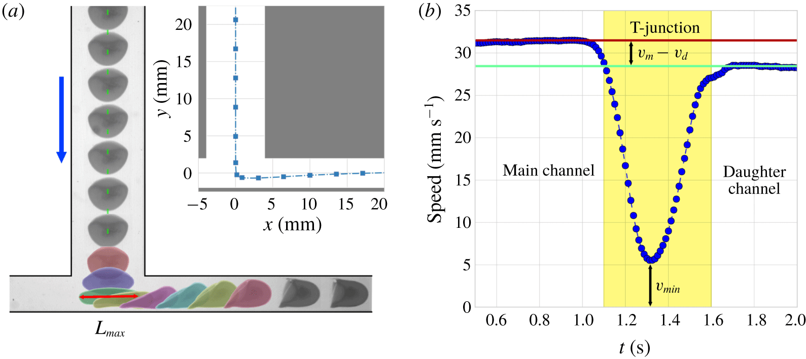 Deformation and sorting of capsules in a T-junction | Journal of Fluid ...