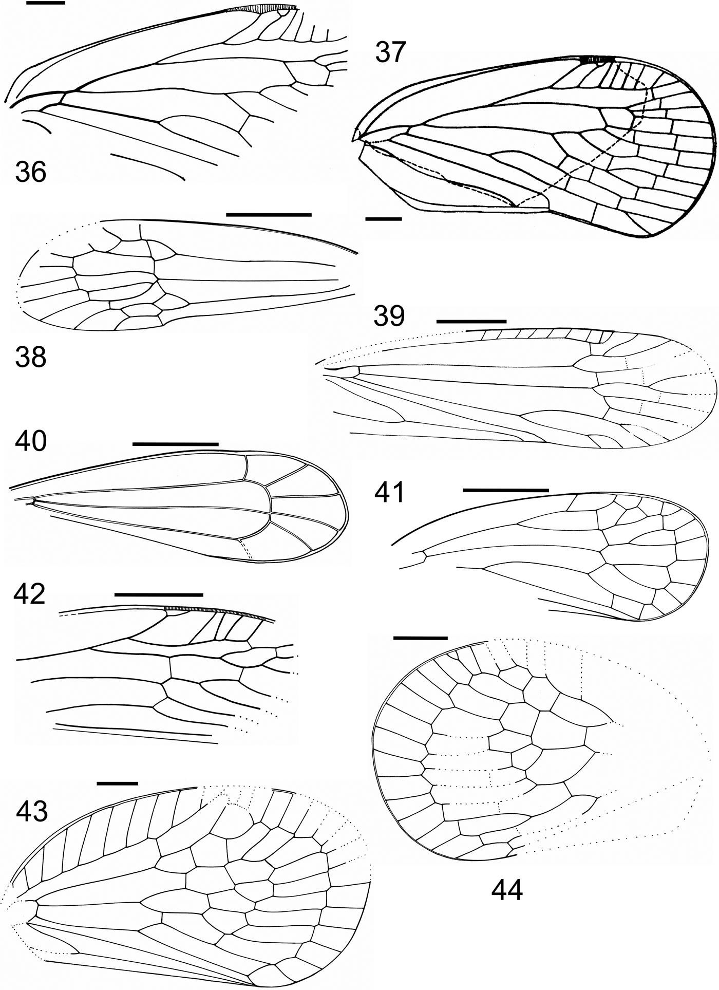 Aphids True Hoppers Jumping Plant Lice Scale Insects True Bugs And Whiteflies Insecta Hemiptera From The Insect Limestone Latest Eocene Of The Isle Of Wight Uk Earth And Environmental Science Transactions Of