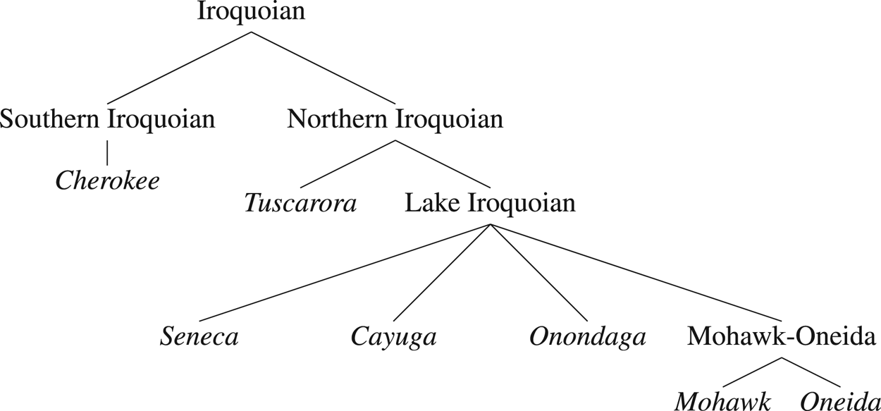 The Northern Iroquoian nominalizer and lexical categories | Canadian ...