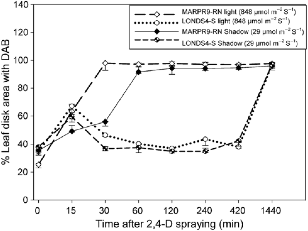 Rapid Necrosis A Novel Plant Resistance Mechanism To 2 4 D Weed Science Cambridge Core