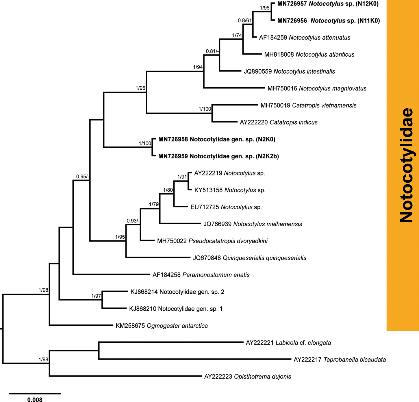 High Parasite Diversity In A Neglected Host: Larval Trematodes Of ...