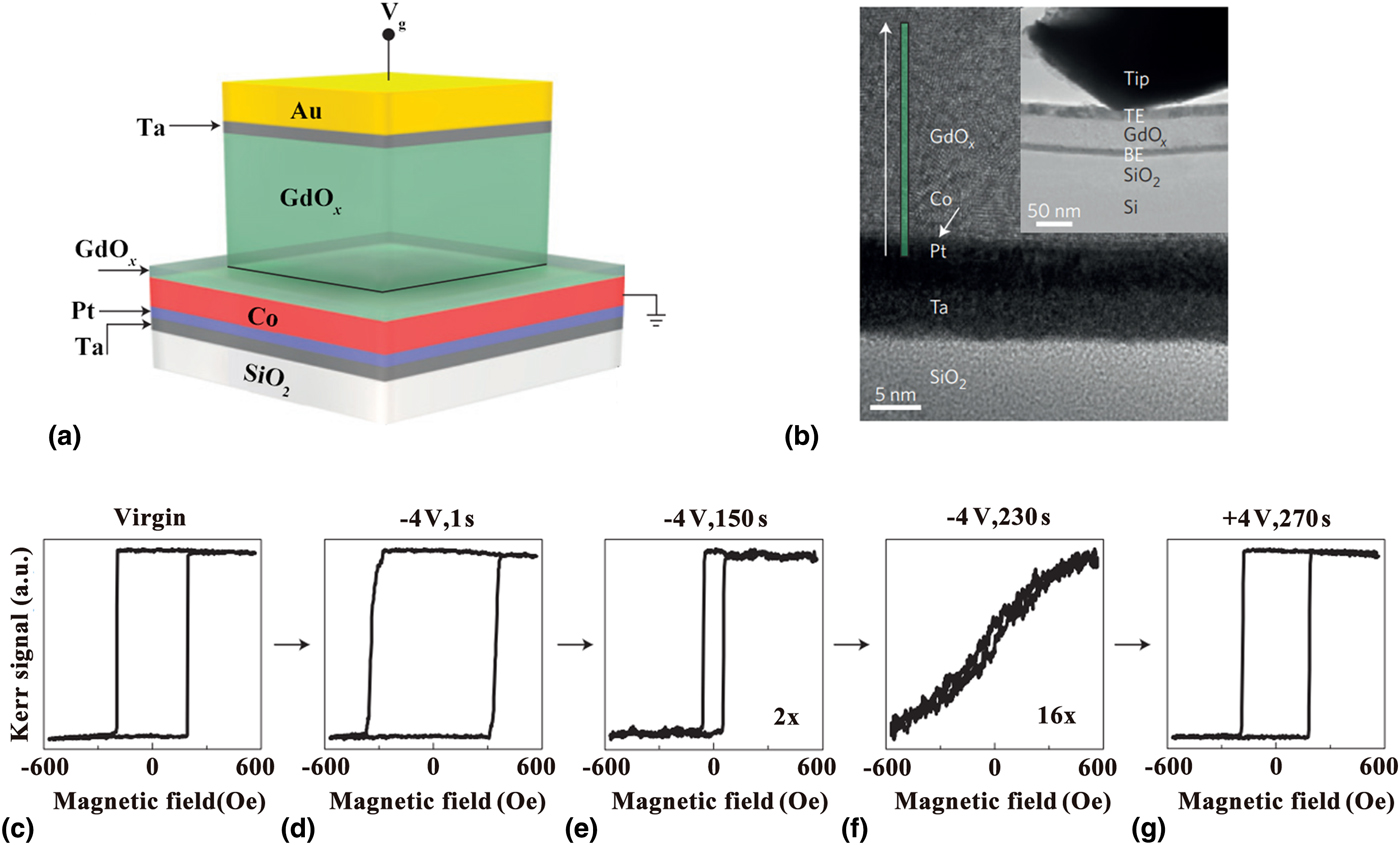 Nanoscale magnetization reversal by electric field-induced ion ...