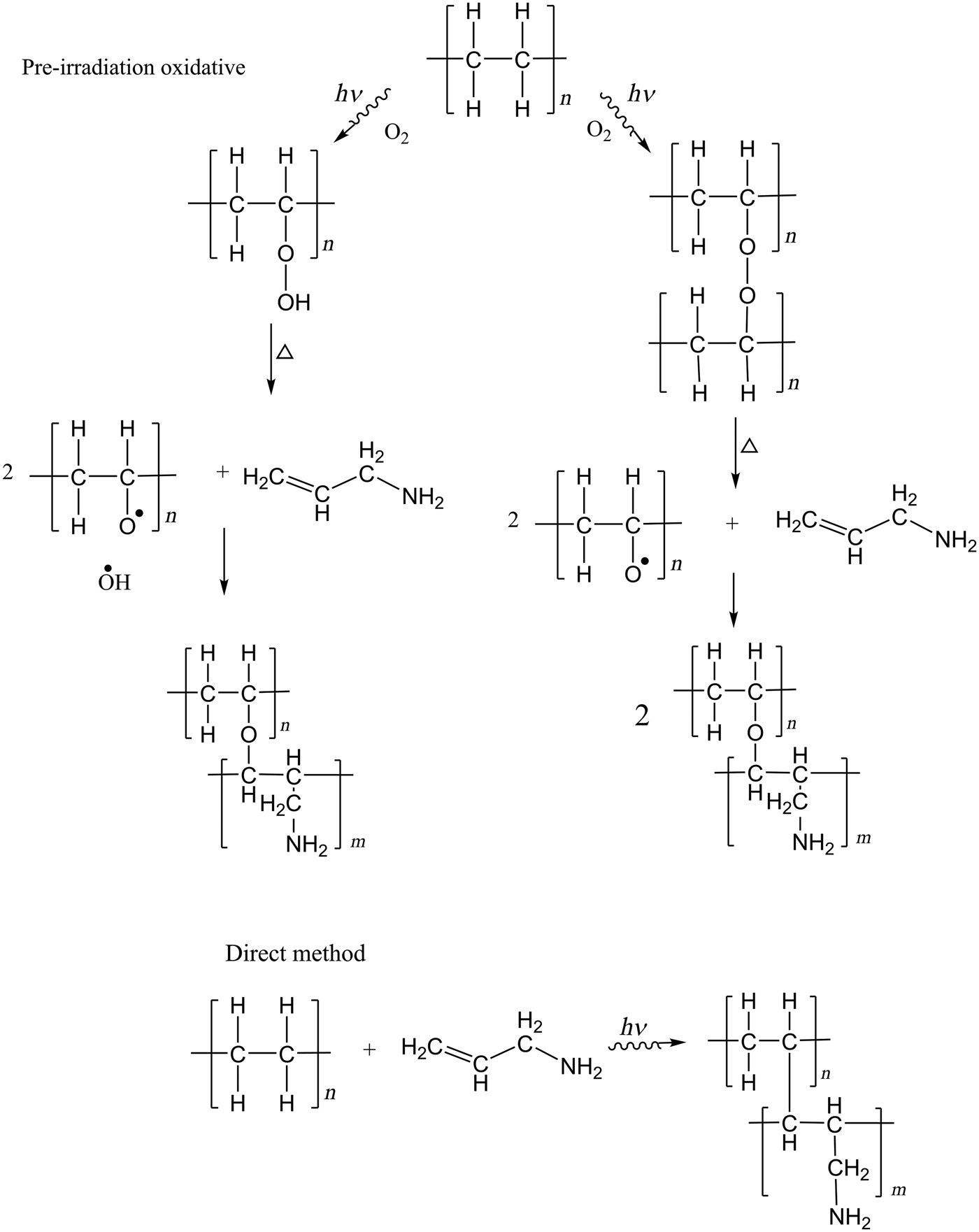 Surface Functionalization Of Polypropylene And Polyethylene Films With Allylamine By G Radiation Mrs Communications Cambridge Core