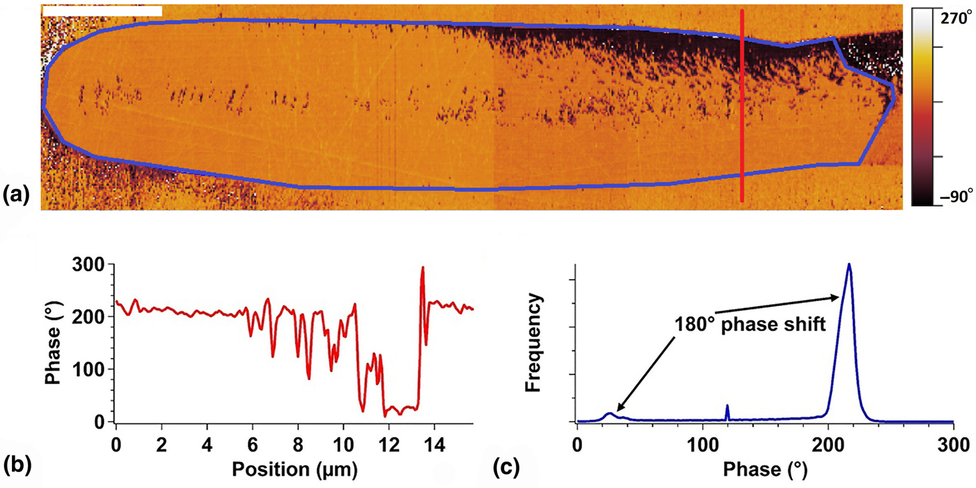 Ferroelectric domain engineering of lithium niobate single crystal ...