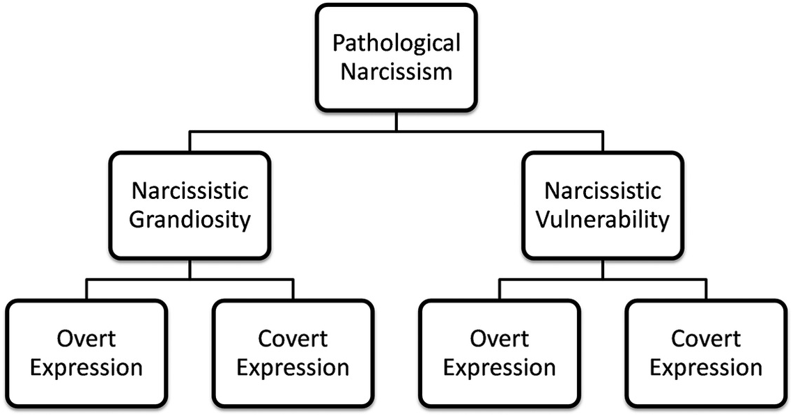 Formal DSM-V diagnostic criteria for Narcissistic Personality Disorder with  ICD-10 code : r/pics