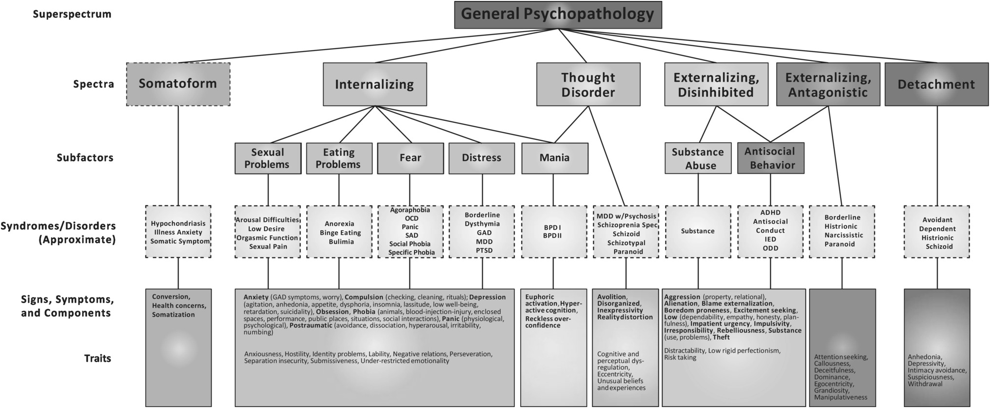 DSM-5-TR Primer on Dimensional vs Categorical Disorders Flashcards