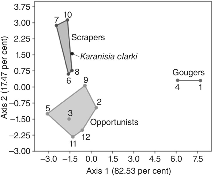 Evolution Morphology And The Fossil Record Part I Evolution Ecology And Conservation Of Lorises And Pottos