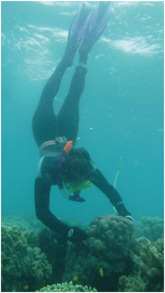 Hellery Dive Swimming Drawstring Mesh Bag Storage for Diving Scuba Snorkel