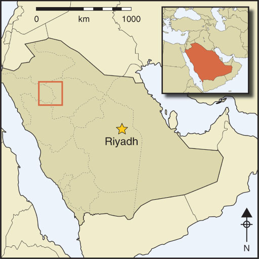 Neolithic pastoralism in marginal environments during the Holocene ...