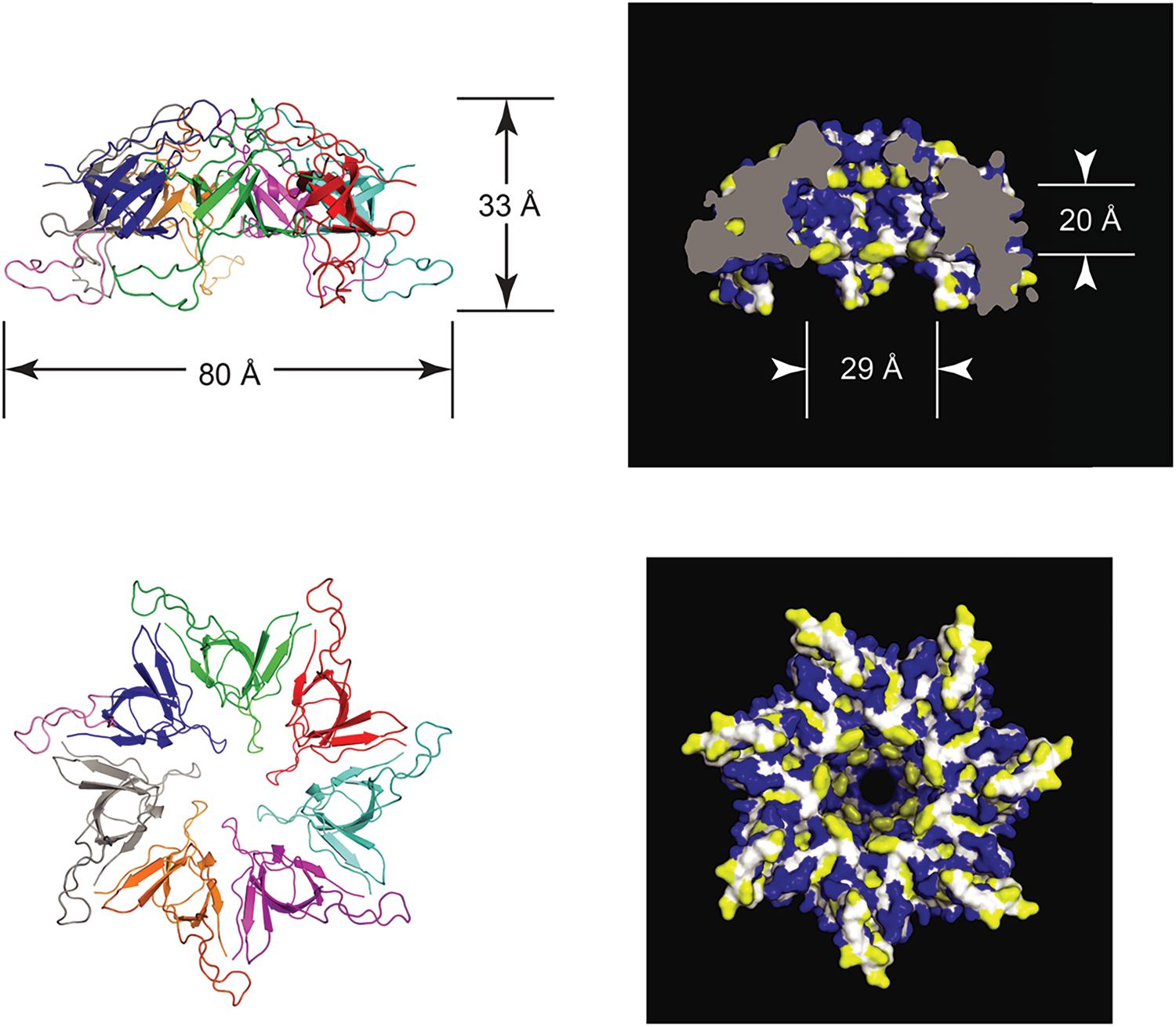 Chaperonin Assisted Protein Folding A Chronologue Quarterly Reviews Of Biophysics Cambridge Core