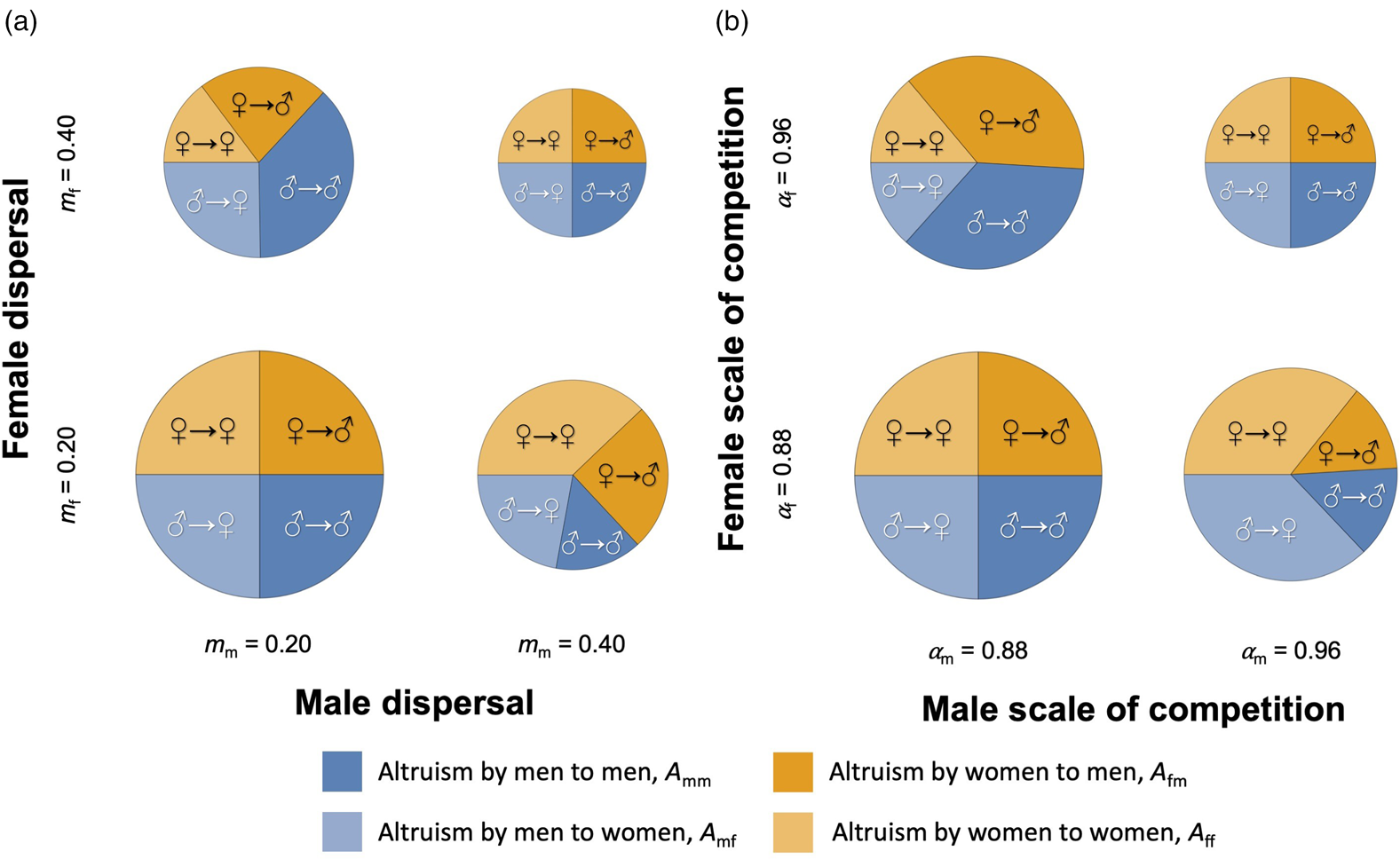 The Demography Of Human Warfare Can Drive Sex Differences In Altruism Evolutionary Human 5114