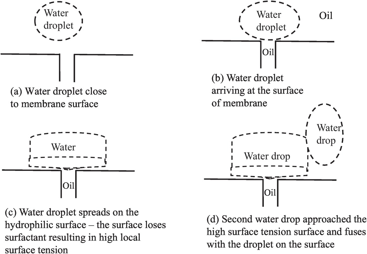 Ultrasonic Cavitation in Liquids