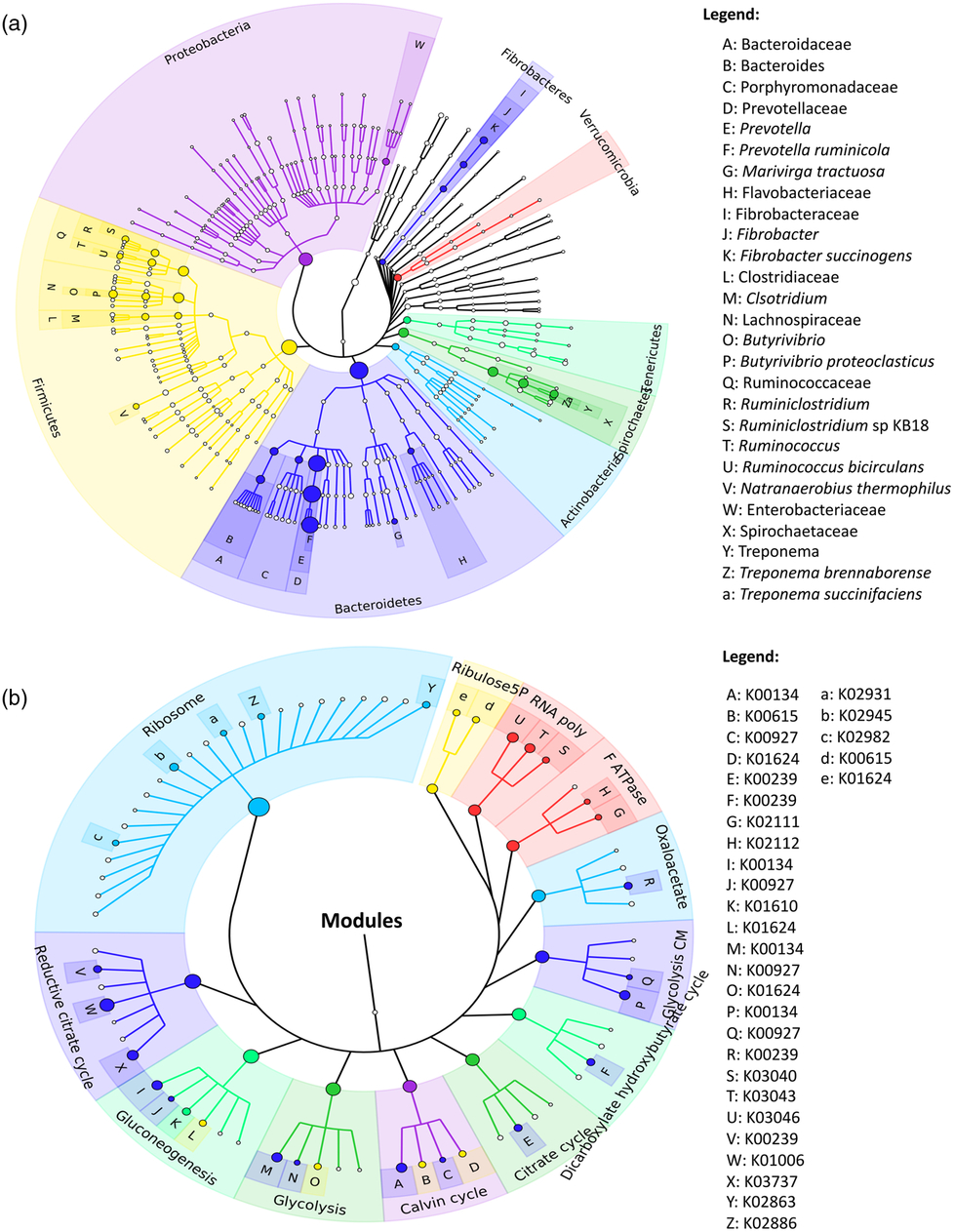 Taxonomic And Functional Assessment Using Metatranscriptomics Reveals The Effect Of Angus Cattle On Rumen Microbial Signatures Animal Cambridge Core