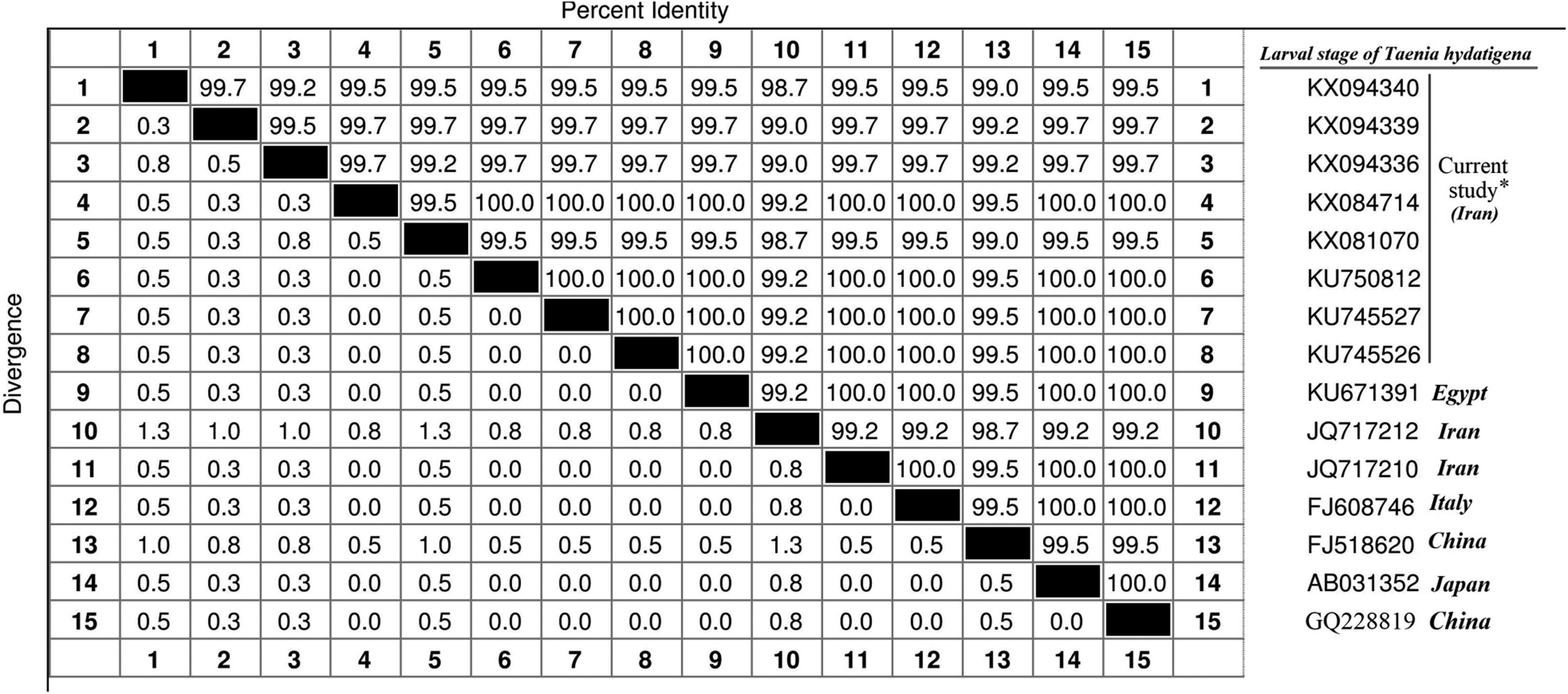 Morphometric, genetic diversity and phylogenetic analysis of Taenia ...