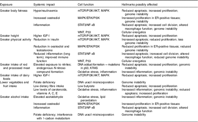 Nutrition and cancer: prevention and survival | British Journal of ...