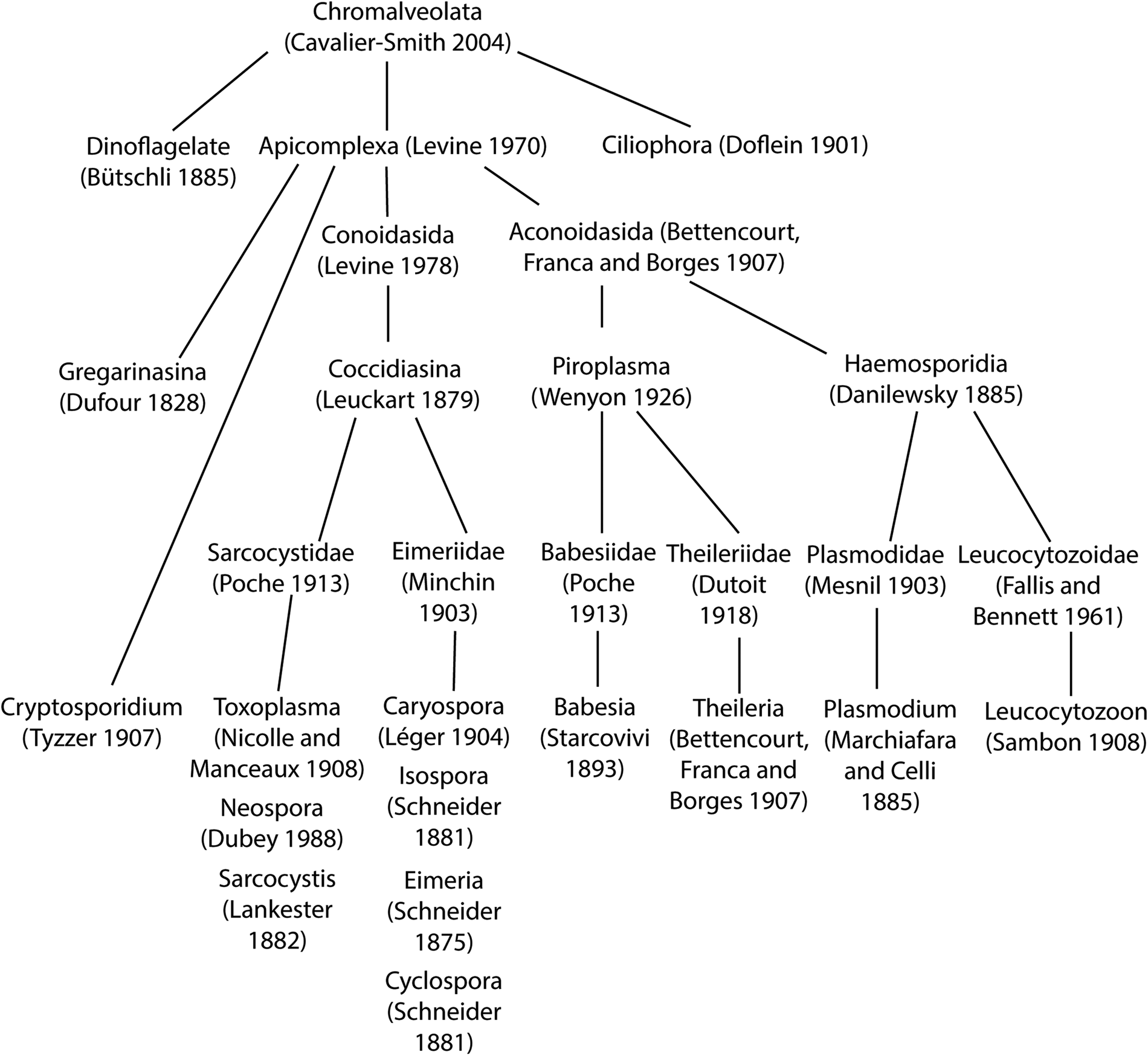 Life Cycle Stages Specific Organelles And Invasion Mechanisms Of Eimeria Species Parasitology Cambridge Core