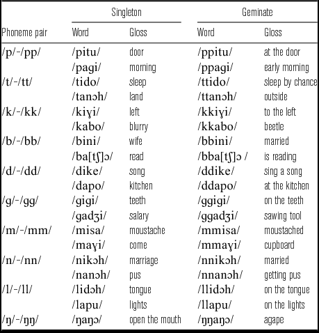 Non-durational acoustic correlates of word-initial consonant gemination ...