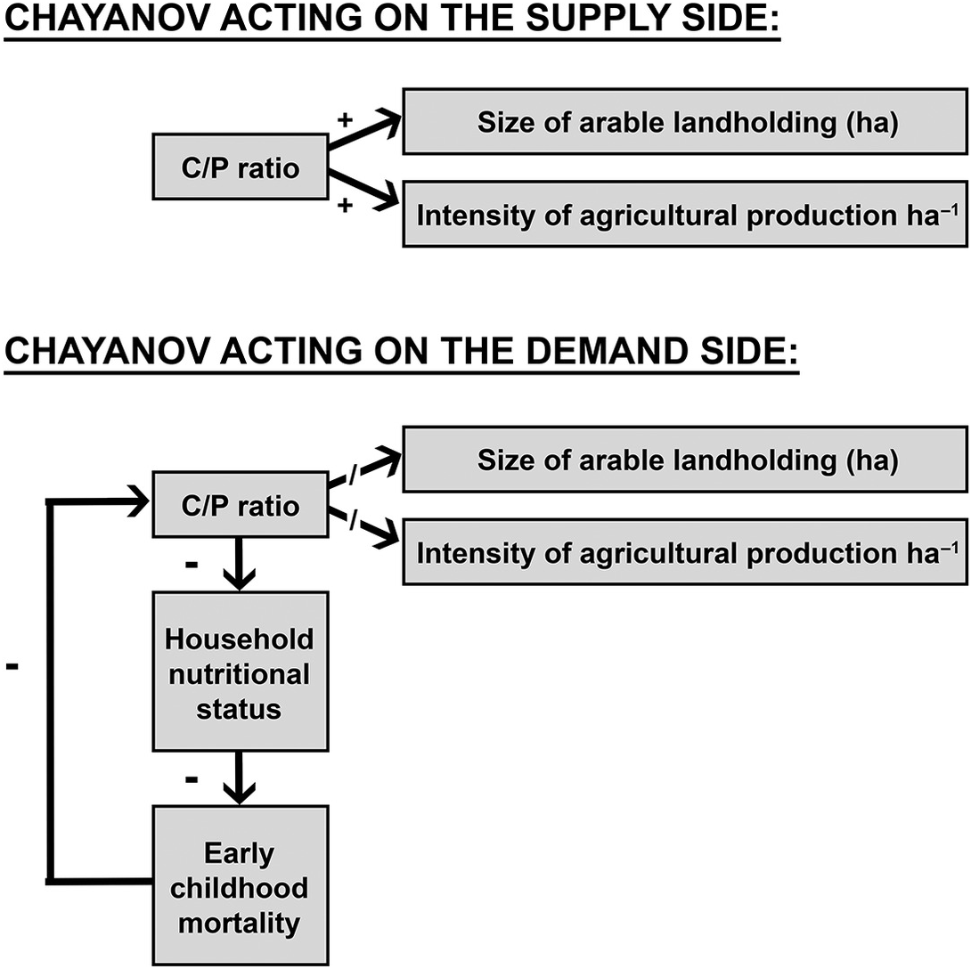 Microdemographic Approaches To Population And Subsistence Farming Part Iii The Biodemography Of Subsistence Farming