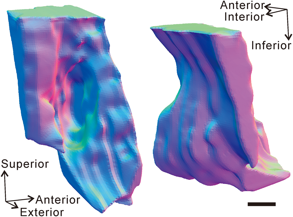 Figure 6 from the same study, showing growth anomalies due to parasitic interactions