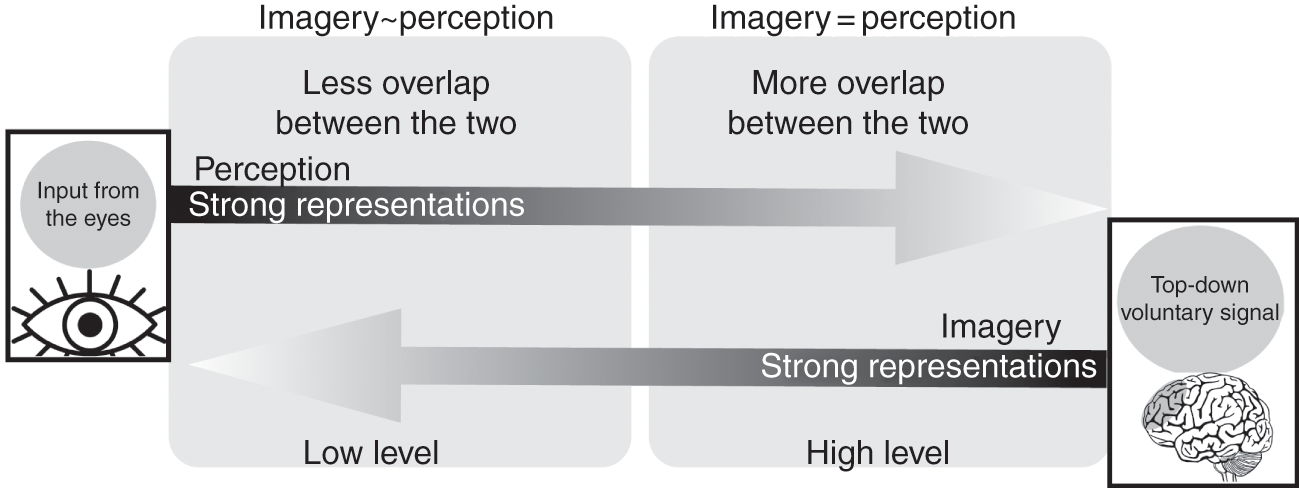 Imagery Based Forms Of The Imagination Part Ii The Cambridge Handbook Of The Imagination