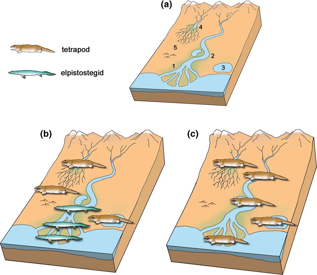 Follow The Footprints And Mind The Gaps: A New Look At The Origin Of ...