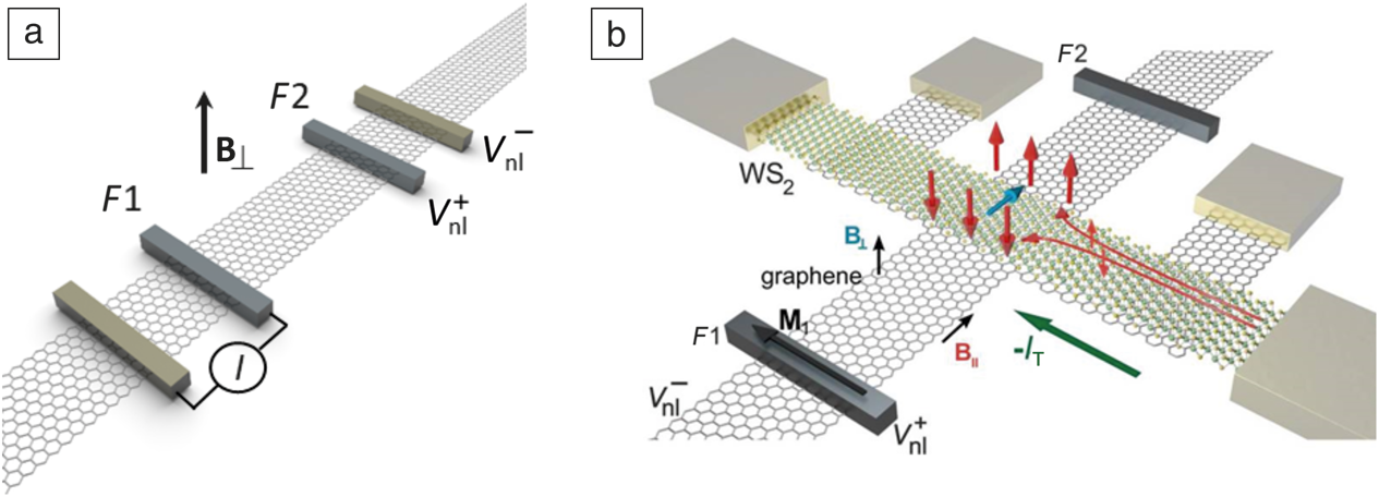 Magnetism, Spin Dynamics, And Quantum Transport In Two-dimensional ...