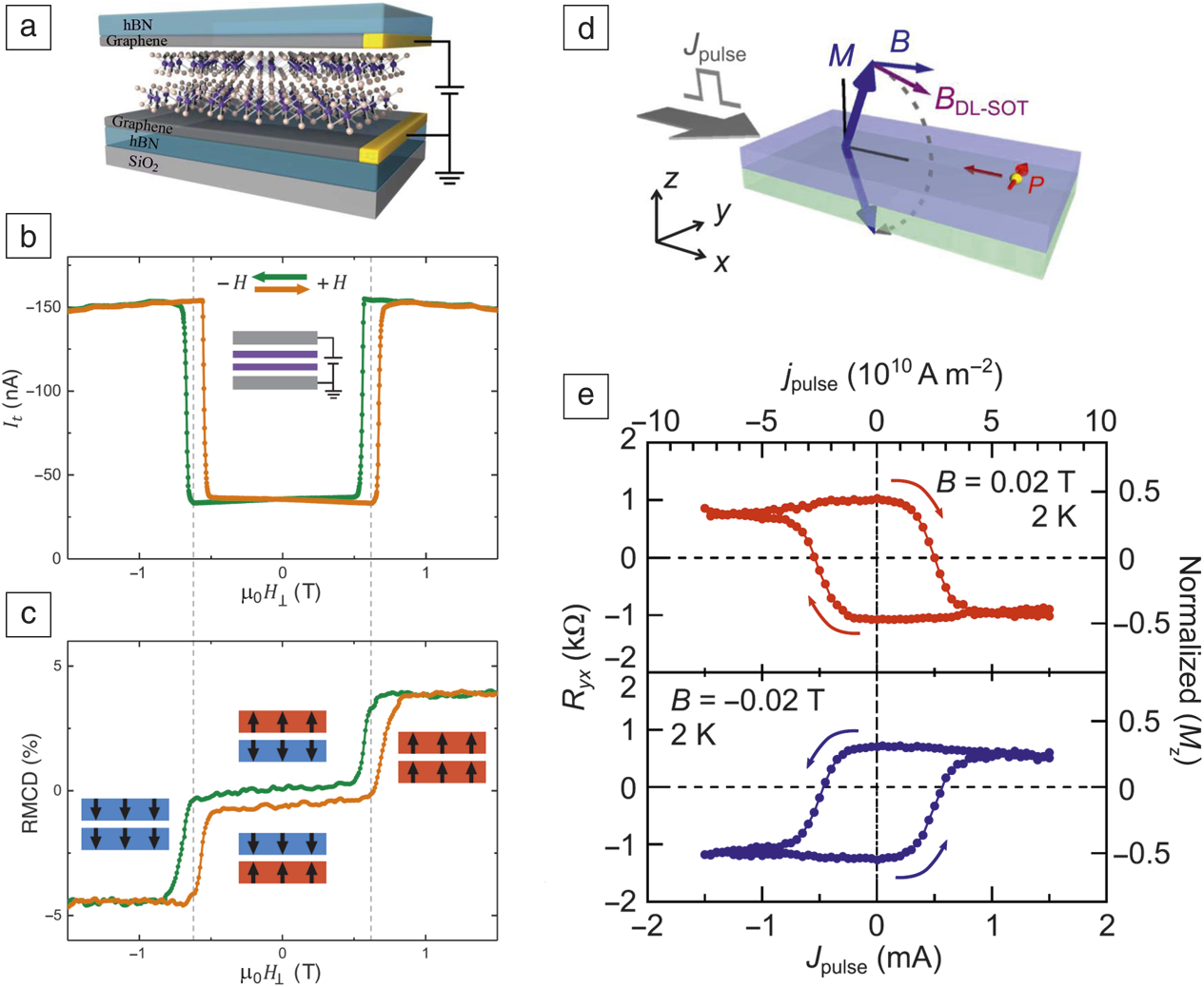 spin dynamics, and quantum transport in twodimensional