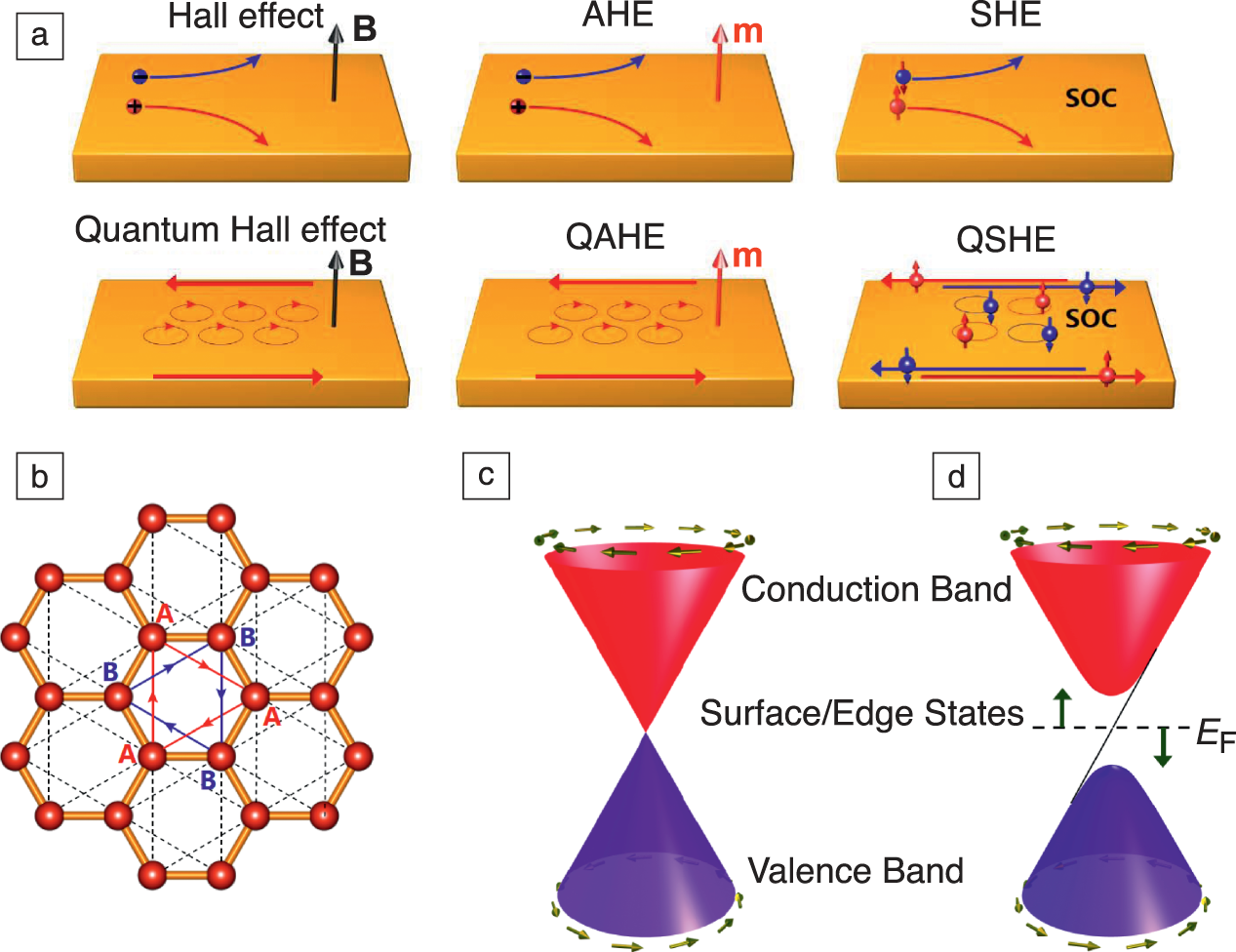 Topological Quantum Materials | MRS Bulletin | Cambridge Core