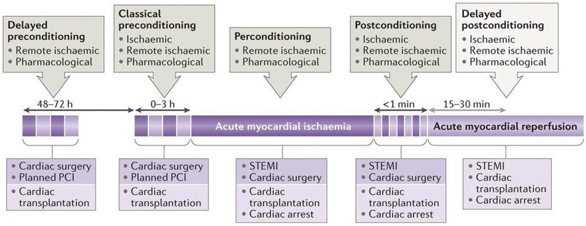 Principles of Cardiopulmonary Bypass (Chapter 5) - Core Topics in 