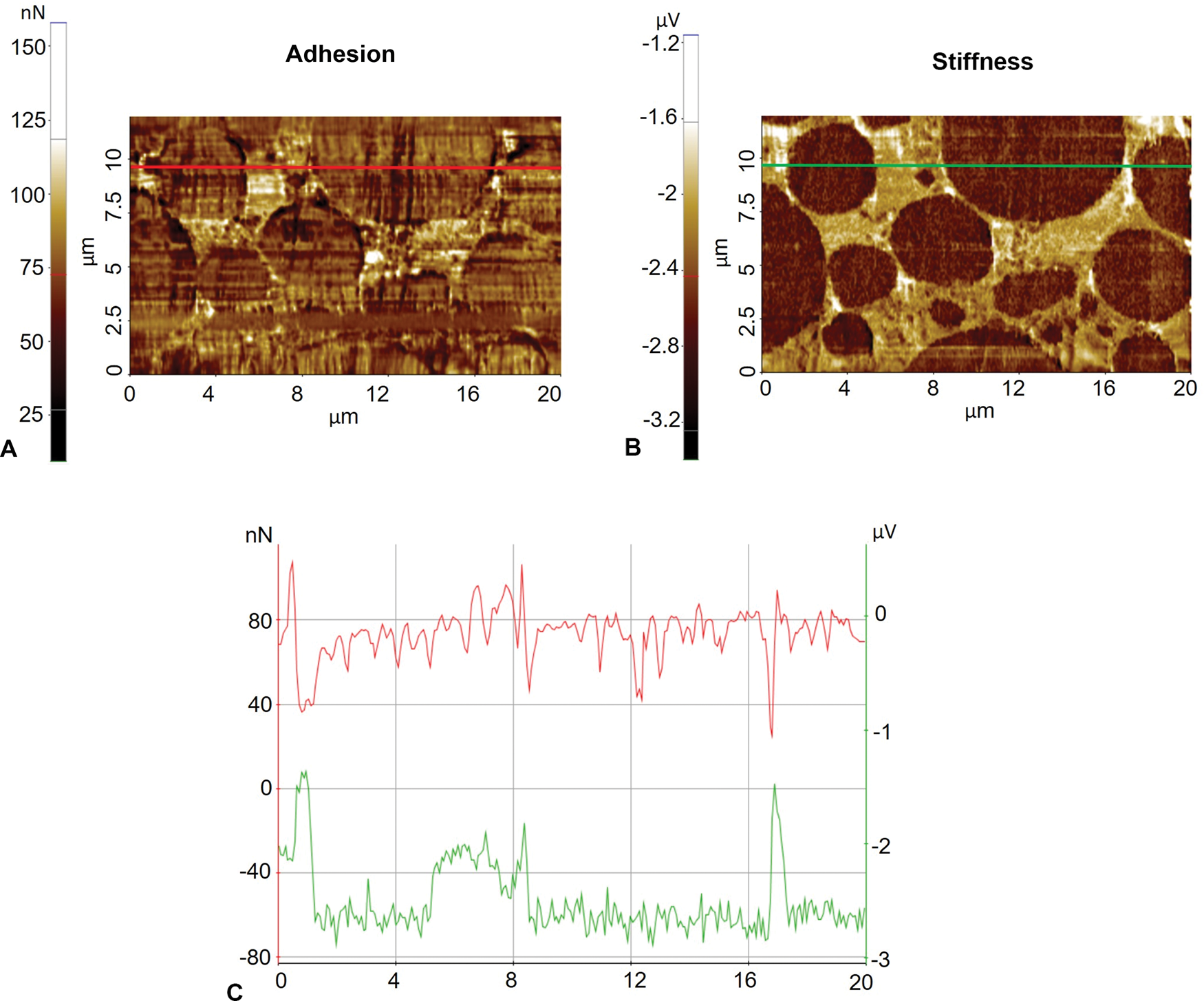 Electrical and Mechanical Characterization of Li Ion Battery Electrode ...