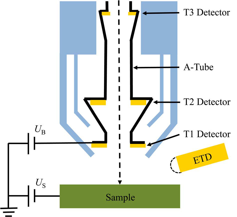 verlichten klein warm Simultaneous Scanning Electron Microscope Imaging of Topographical and  Chemical Contrast Using In-Lens, In-Column, and Everhart–Thornley Detector  Systems | Microscopy and Microanalysis | Cambridge Core