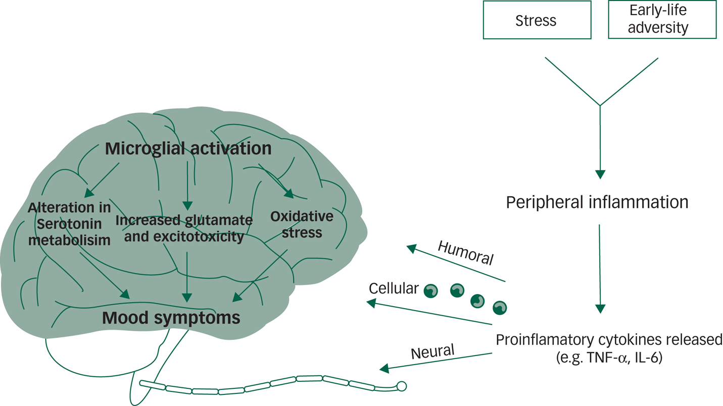 Inflammation as a treatment target in mood disorders: review | BJPsych ...