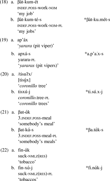 Vowel Consonant Metathesis In Nivaĉle Canadian Journal Of Linguistics Revue Canadienne De Linguistique Cambridge Core