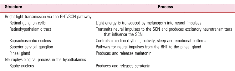 light therapy for hypersomnia