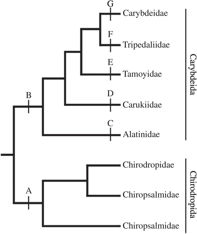Systematics Exposing Myths Part Ii Cladistics Systematics Exposing Myths Part Ii Cladistics