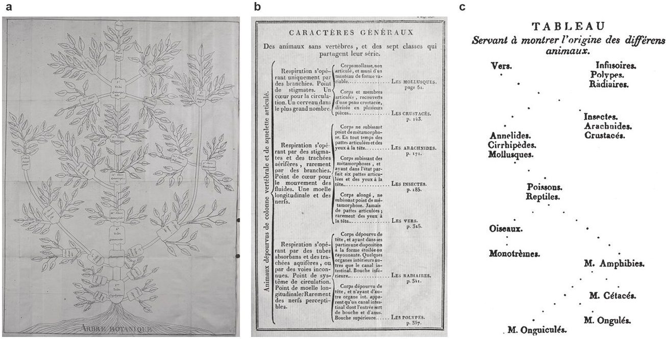 Systematics Exposing Myths Part Ii Cladistics