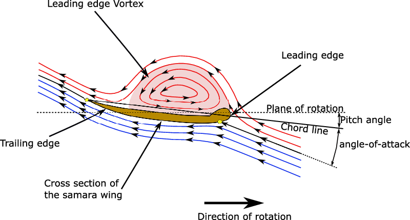 chapter 1 - Trailing-Edge