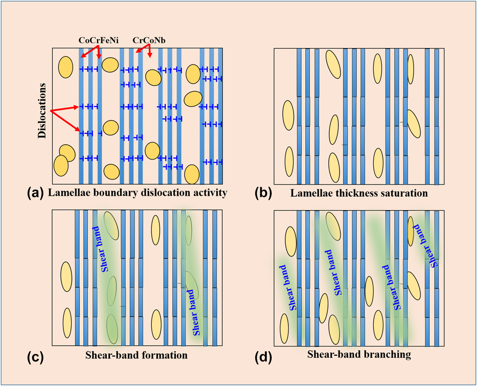 Mechanism of highpressure torsioninduced shear banding and lamellar